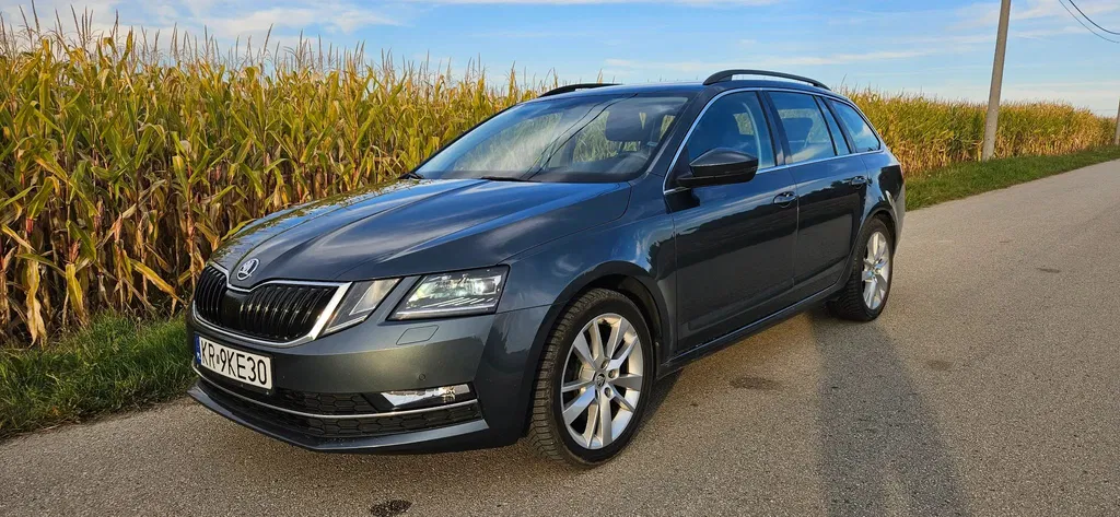 Zdjęcie: 2018 Skoda Octavia