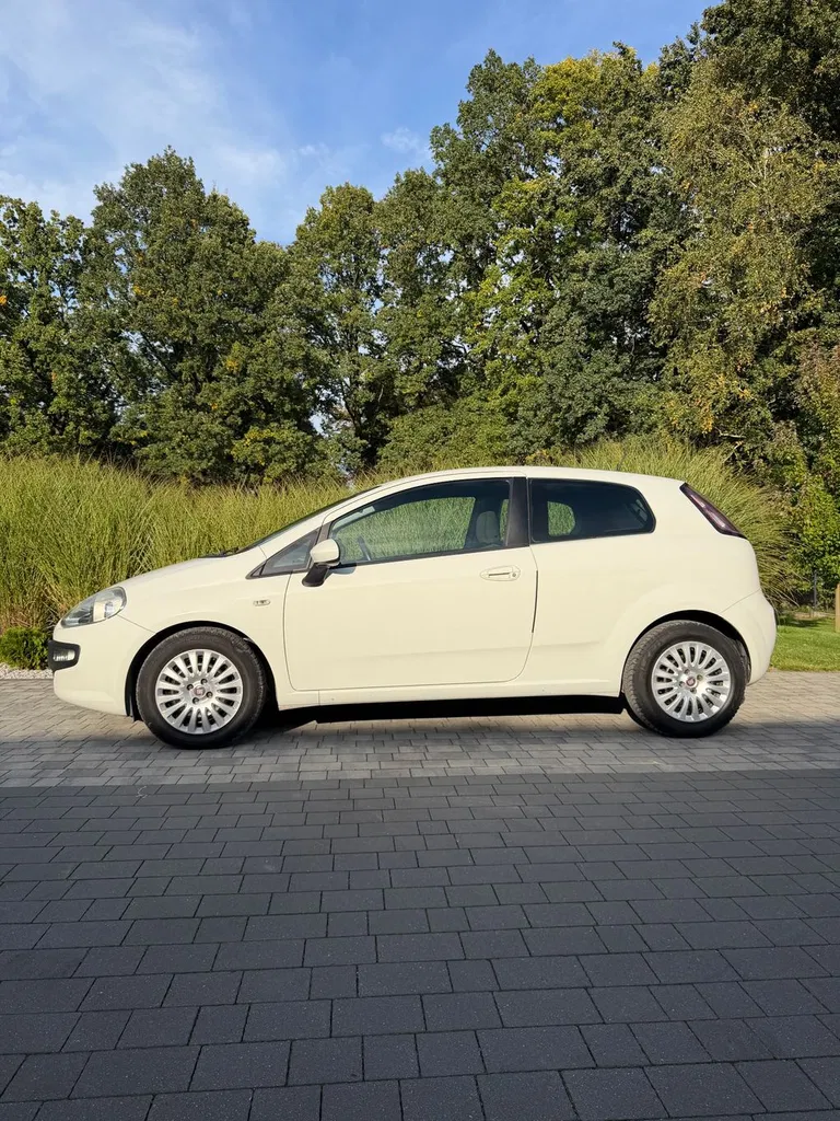 Zdjęcie: 2011 Fiat Punto
