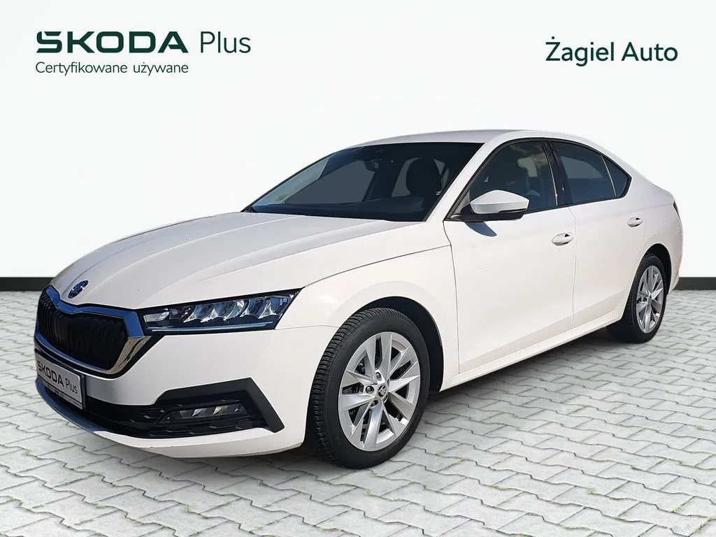 Zdjęcie: 2021 Skoda Octavia