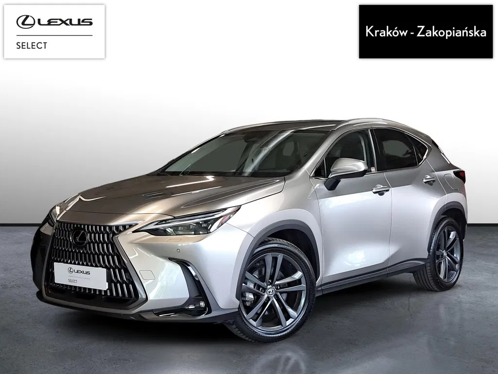 Zdjęcie: 2025 Lexus NX