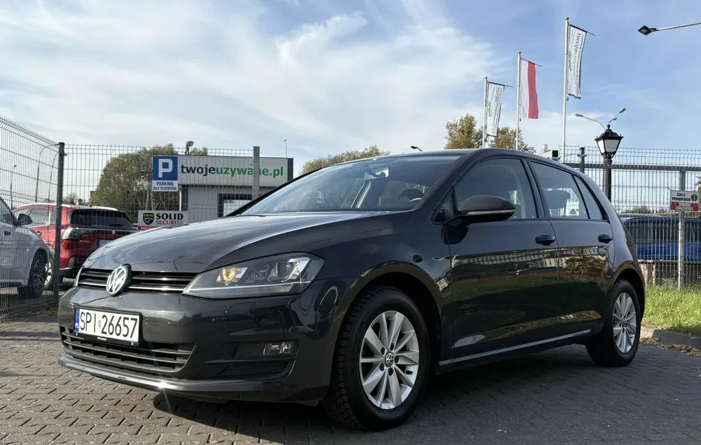Zdjęcie: 2013 Volkswagen Golf