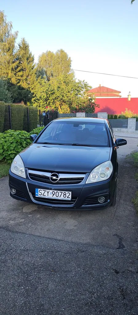 Zdjęcie: 2008 Opel Signum