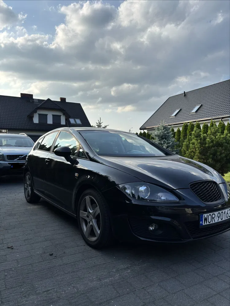 Zdjęcie: 2010 Seat Leon
