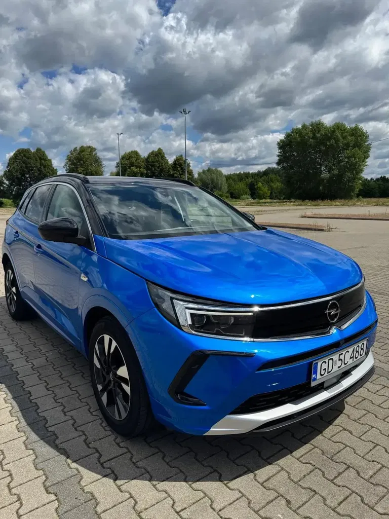 Zdjęcie: 2022 Opel Grandland X