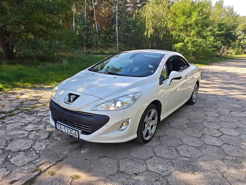 Zdjęcie: 2010 Peugeot 308