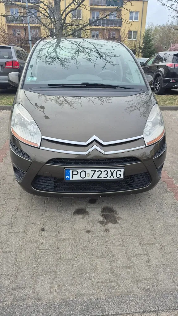 Zdjęcie: 2010 Citroen C4 Picasso