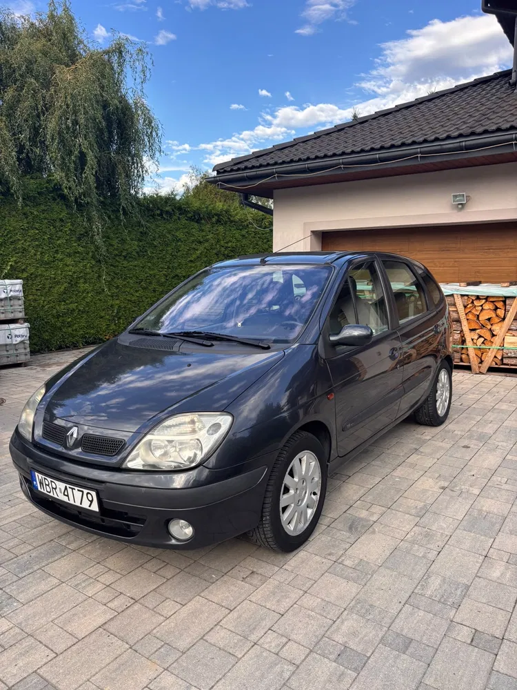 Zdjęcie: 2001 Renault Megane