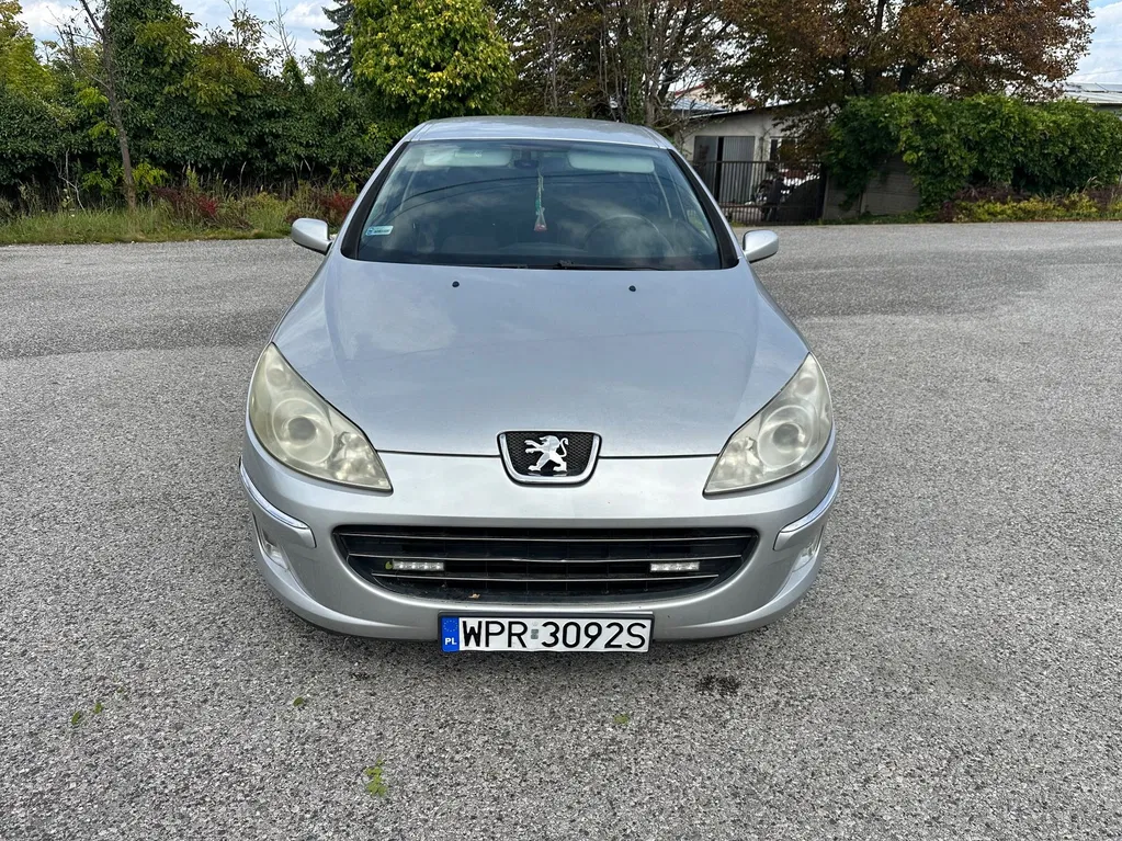 Zdjęcie: 2007 Peugeot 407