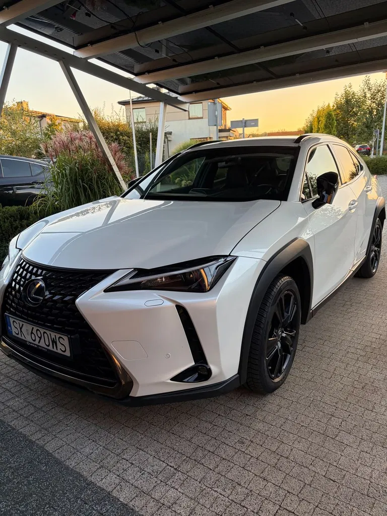 Zdjęcie: 2022 Lexus UX