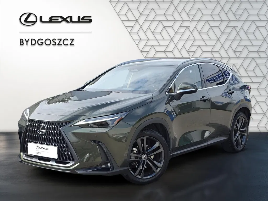 Zdjęcie: 2024 Lexus NX
