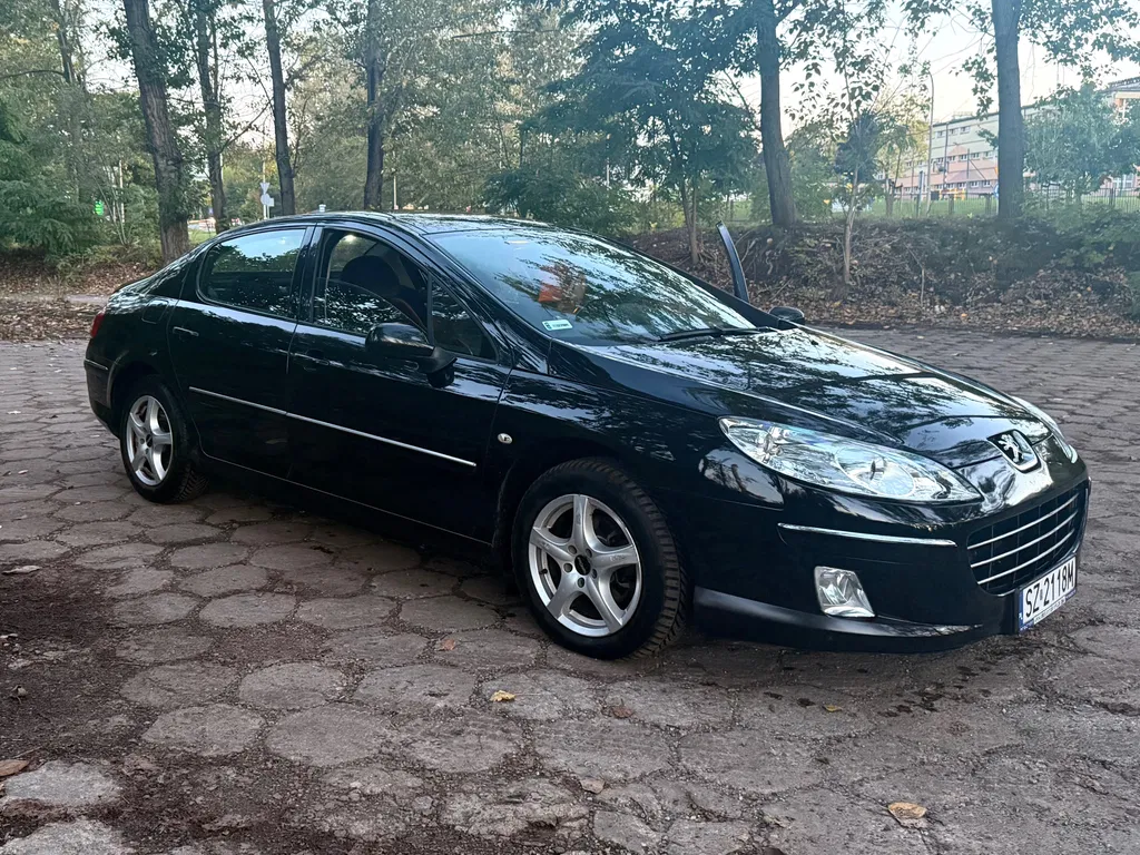 Zdjęcie: 2008 Peugeot 407
