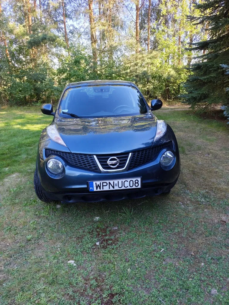 Zdjęcie: 2014 Nissan Juke