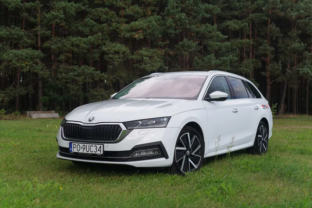 Zdjęcie: 2021 Skoda Octavia