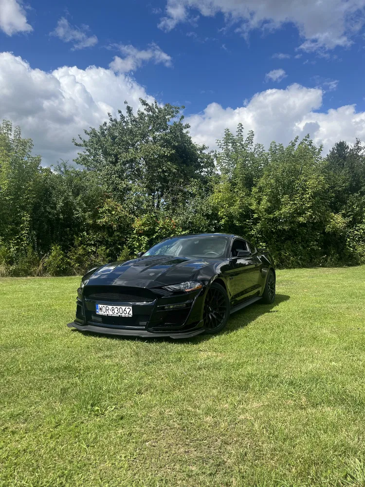 Zdjęcie: 2018 Ford Mustang