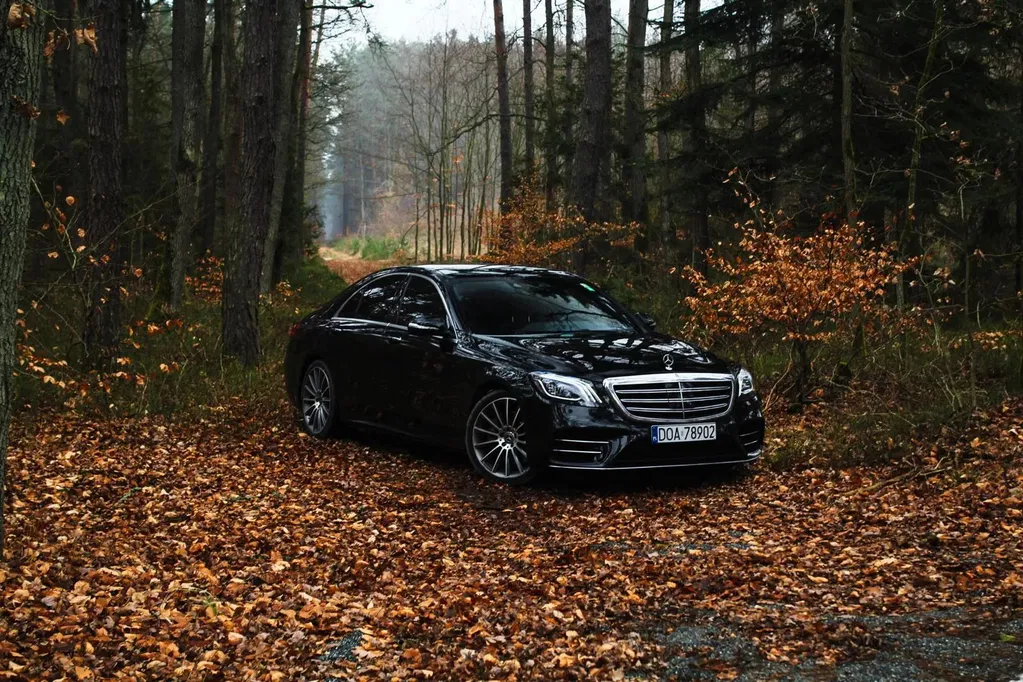 Zdjęcie: 2018 Mercedes-Benz S Klasa