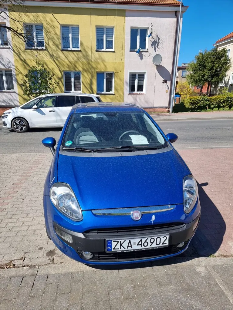 Zdjęcie: 2010 Fiat Punto