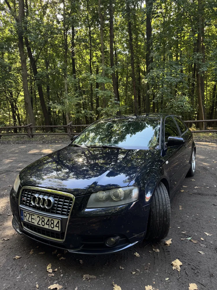 Zdjęcie: 2008 Audi A3 3-drzwiowe