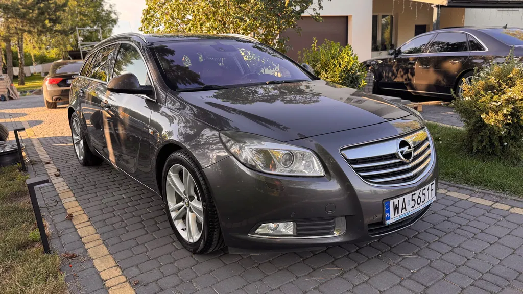 Zdjęcie: 2010 Opel Insignia