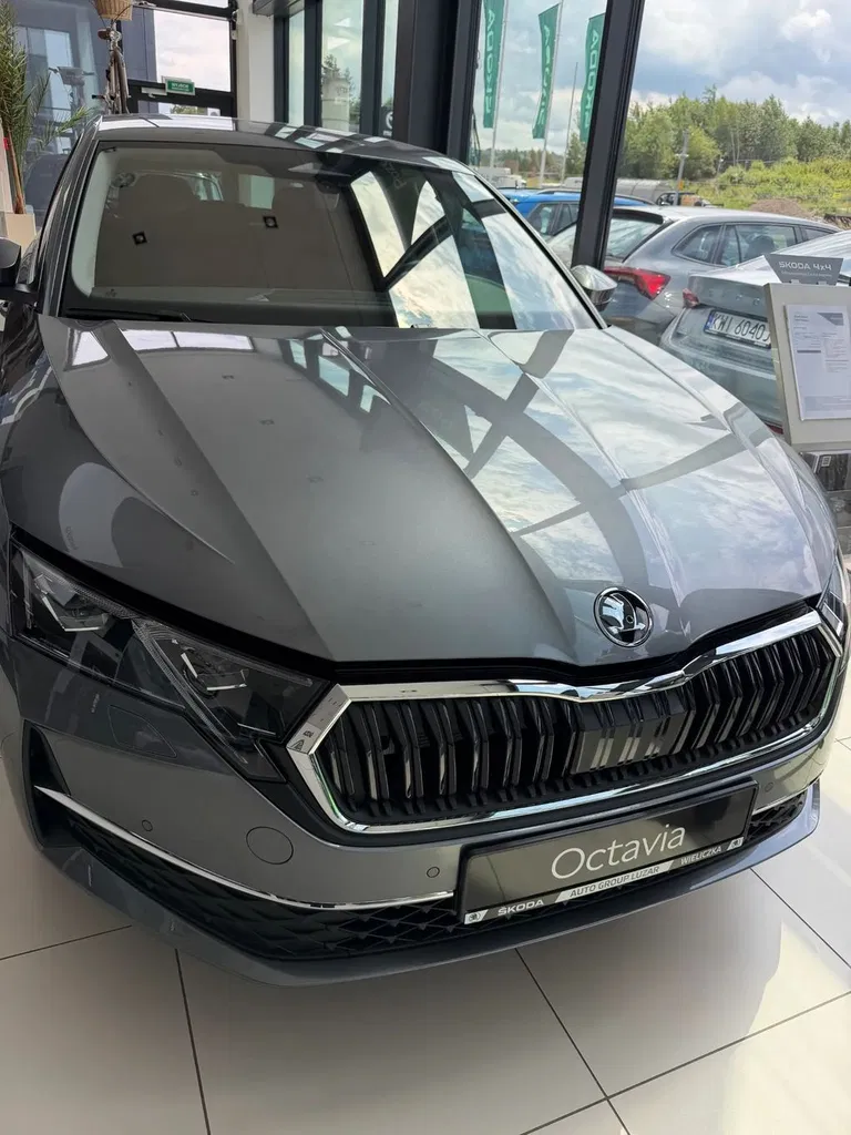 Zdjęcie: 2026 Skoda Octavia