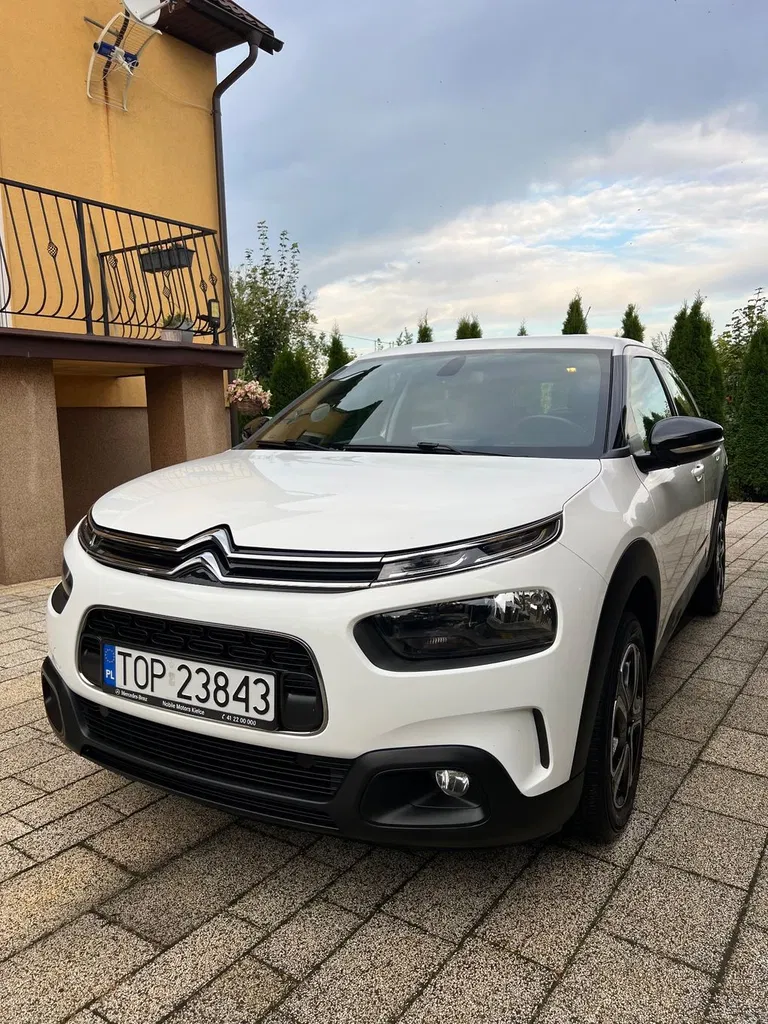 Zdjęcie: 2020 Citroen C4 Cactus