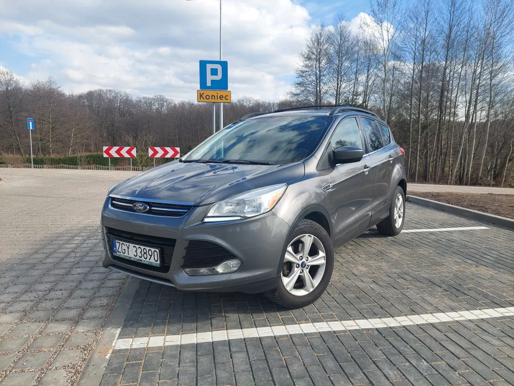 Zdjęcie: 2013 Ford Escape