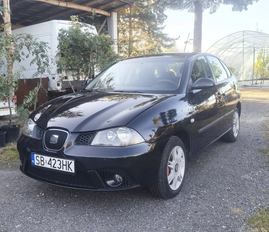 Zdjęcie: 2008 Seat Ibiza