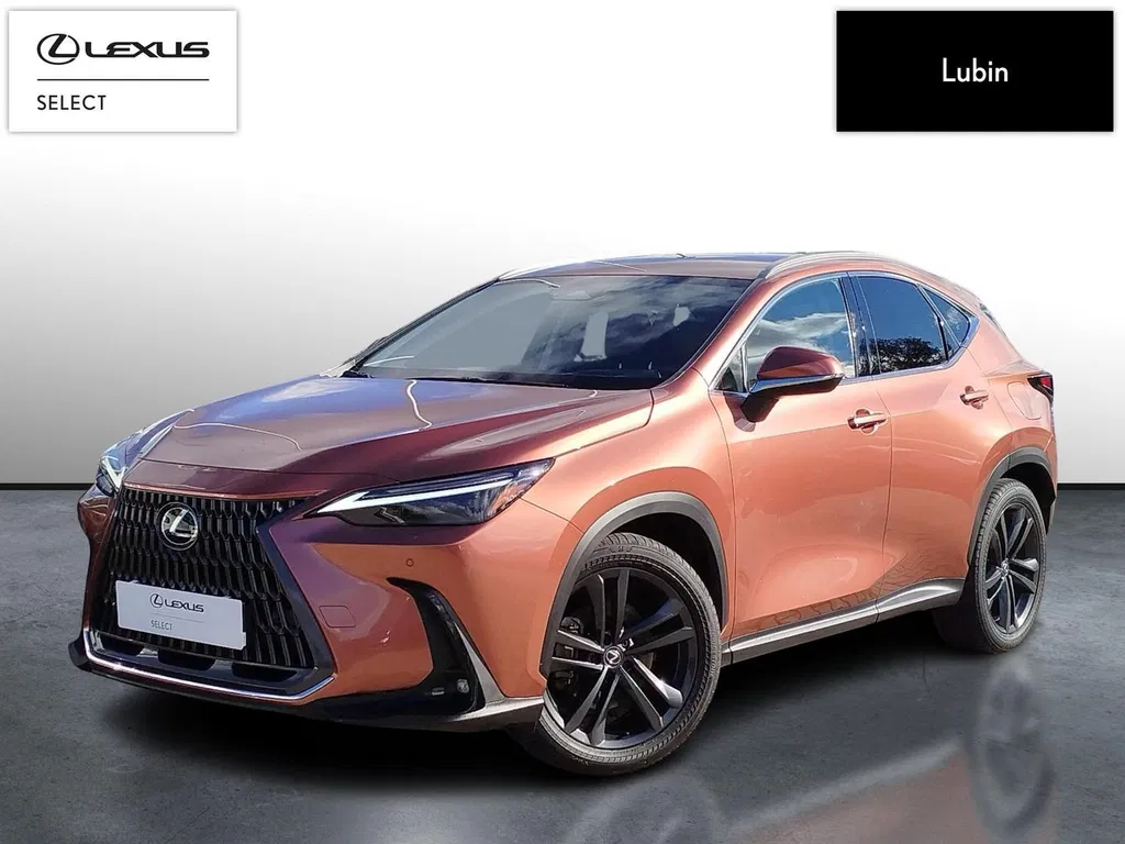 Zdjęcie: 2024 Lexus NX