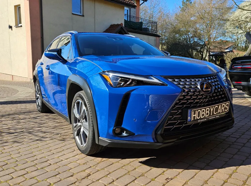 Zdjęcie: 2021 Lexus UX