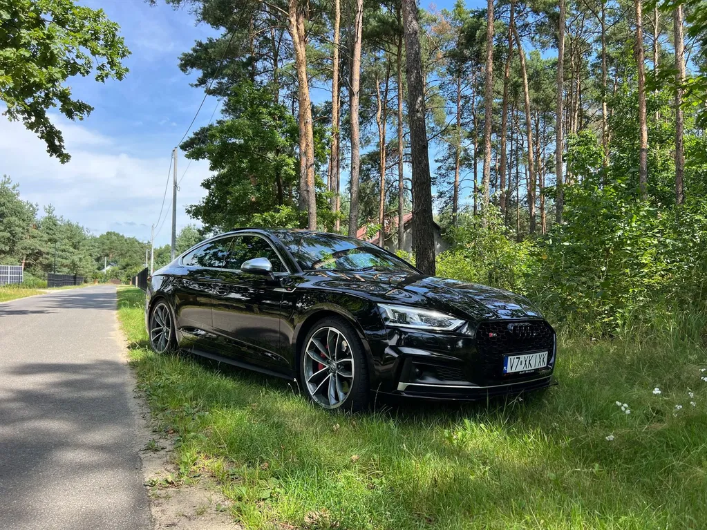 Zdjęcie: 2018 Audi S5 Sportback