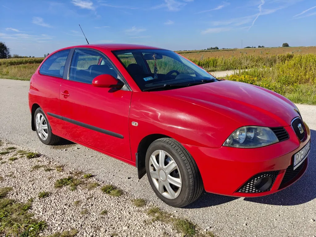 Zdjęcie: 2006 Seat Ibiza