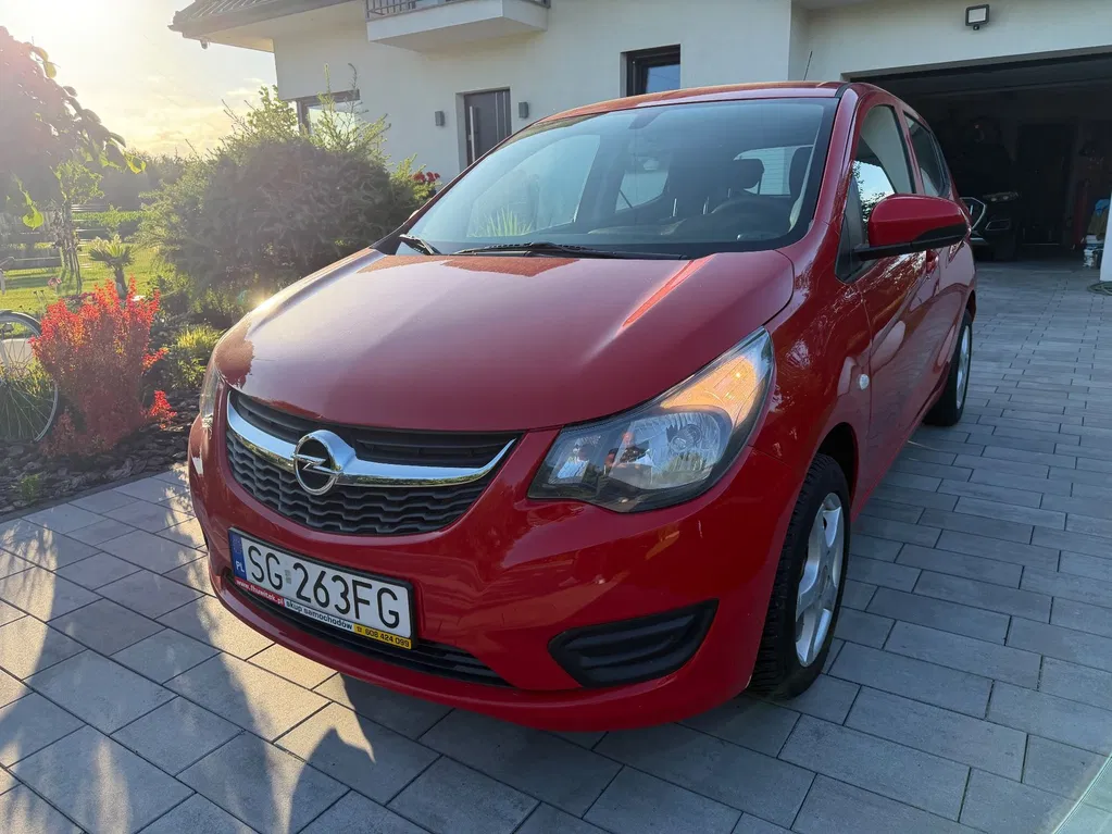 Zdjęcie: 2016 Opel Pozostałe Opel