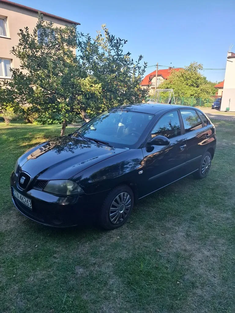 Zdjęcie: 2009 Seat Ibiza