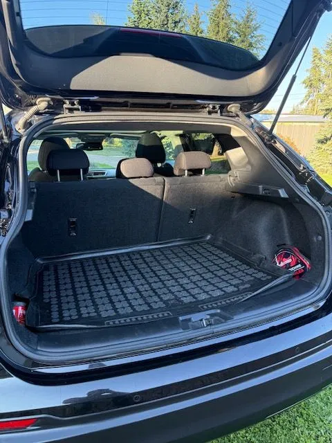 Zdjęcie: 2018 Nissan Qashqai