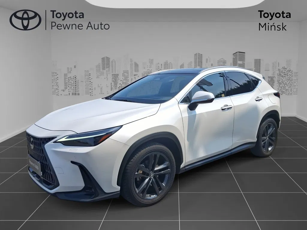 Zdjęcie: 2023 Lexus NX
