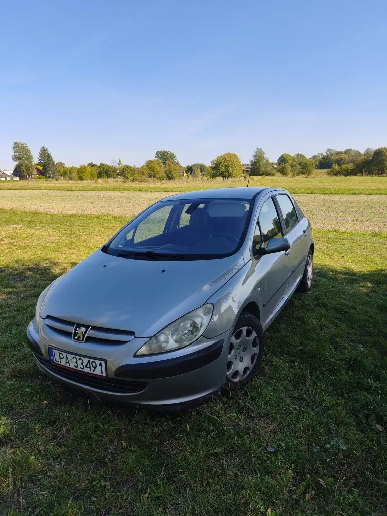 Zdjęcie: 2004 Peugeot 307