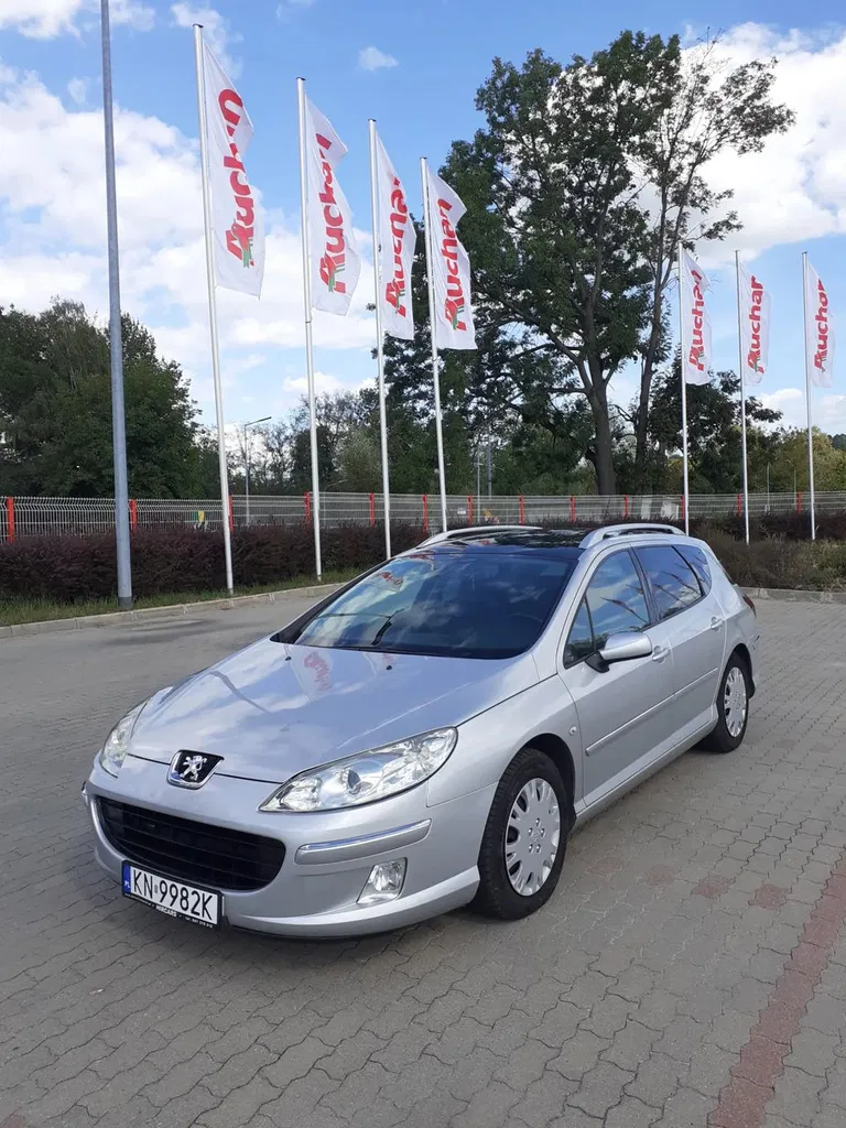 Zdjęcie: 2007 Peugeot 407