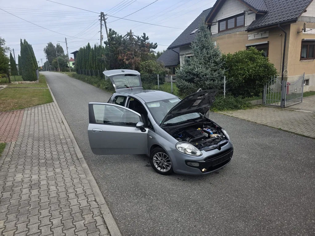 Zdjęcie: 2011 Fiat Punto Evo