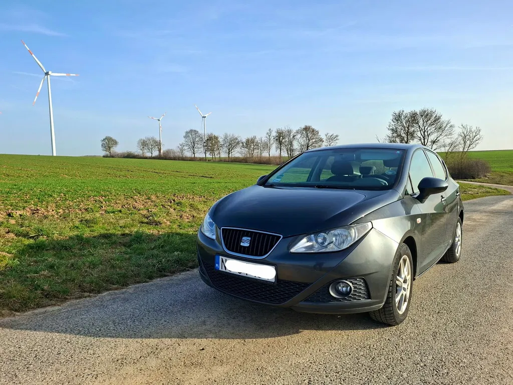 Zdjęcie: 2009 Seat Ibiza