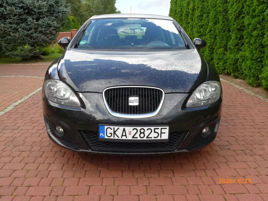 Zdjęcie: 2010 Seat Leon