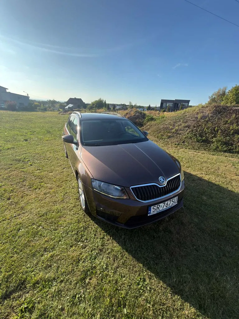 Zdjęcie: 2013 Skoda Octavia