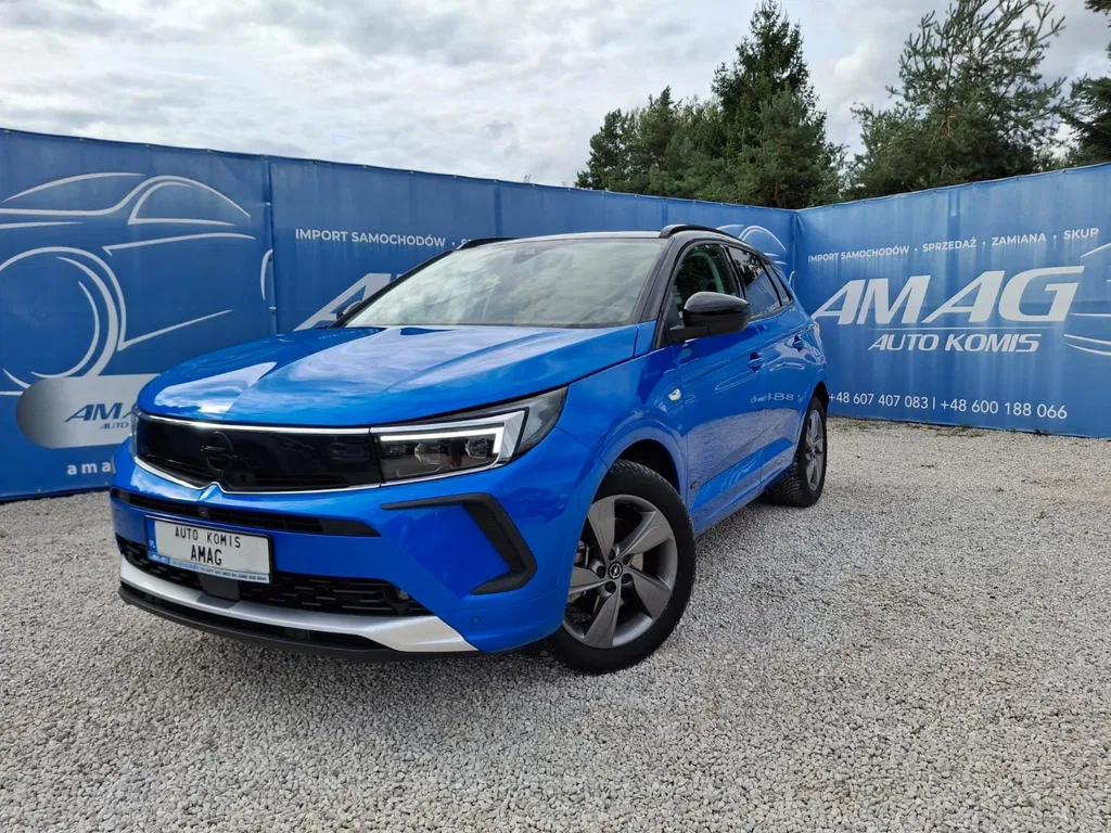 Zdjęcie: 2021 Opel Grandland X