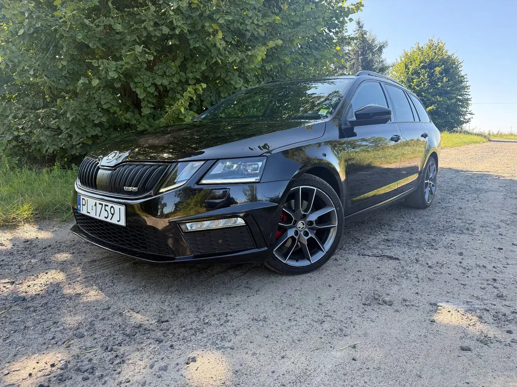 Zdjęcie: 2019 Skoda Octavia