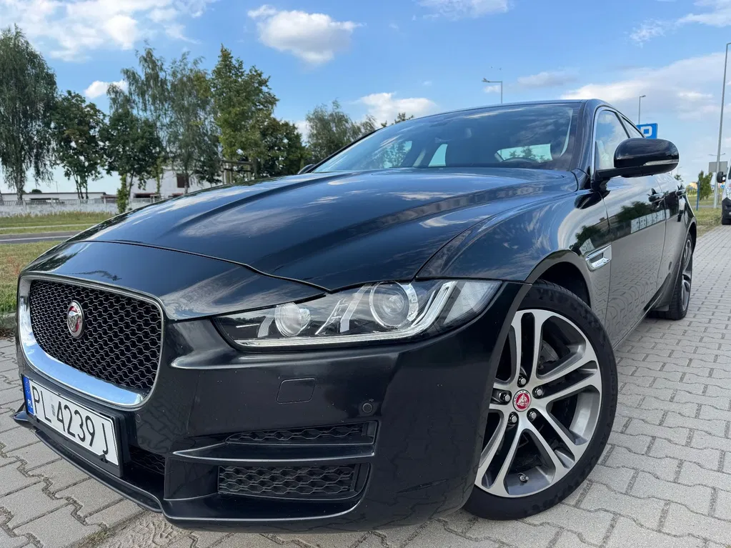 Zdjęcie: 2016 Jaguar XE