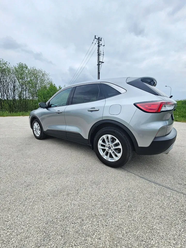 Zdjęcie: 2021 Ford Kuga
