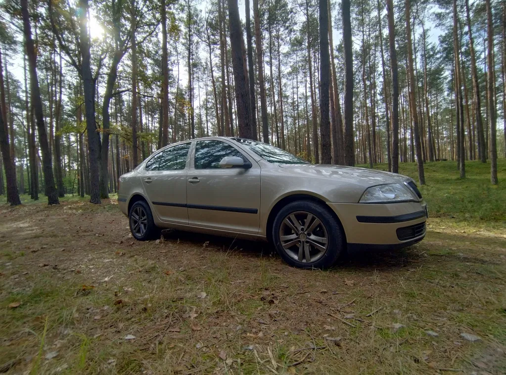 Zdjęcie: 2005 Skoda Octavia