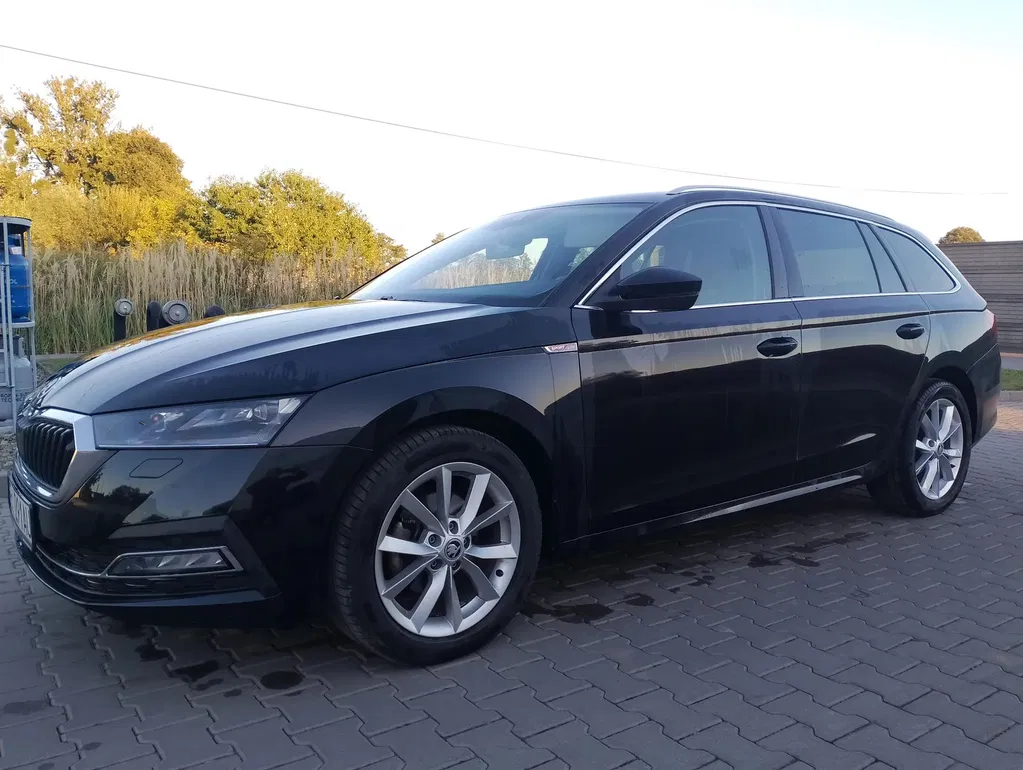 Zdjęcie: 2021 Skoda Octavia