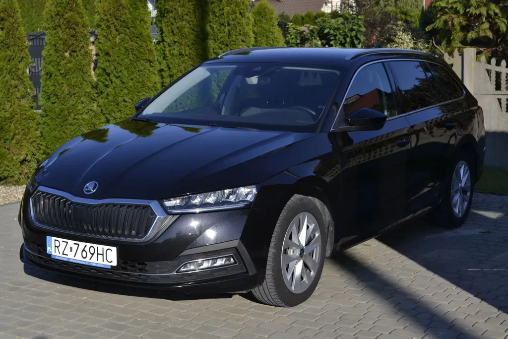 Zdjęcie: 2022 Skoda Octavia
