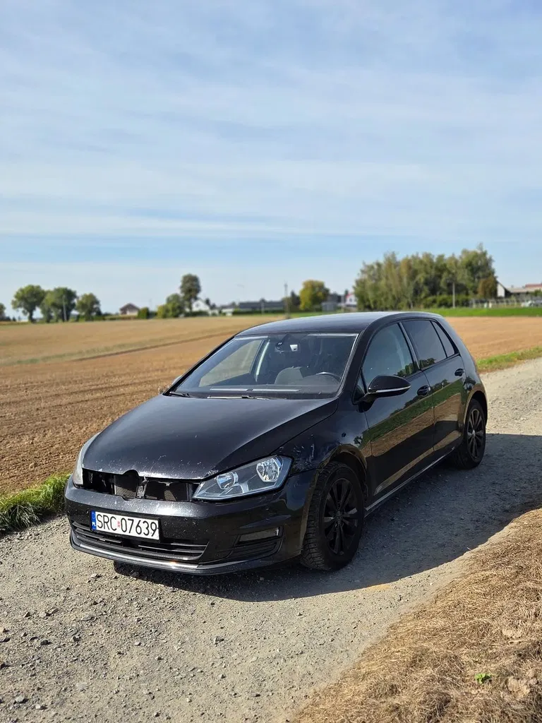 Zdjęcie: 2013 Volkswagen Golf