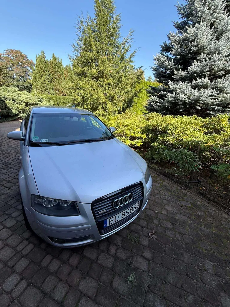 Zdjęcie: 2004 Audi A3 Sportback