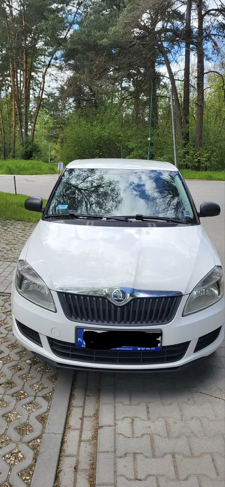 Zdjęcie: 2014 Skoda Fabia